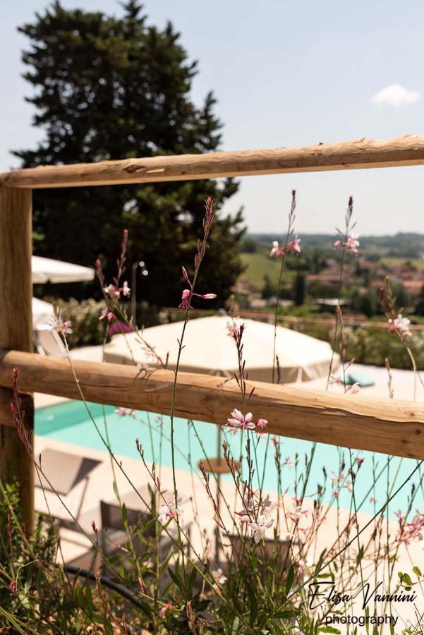 Apartmán La Casa Delle Rondini Forcoli Exteriér fotografie